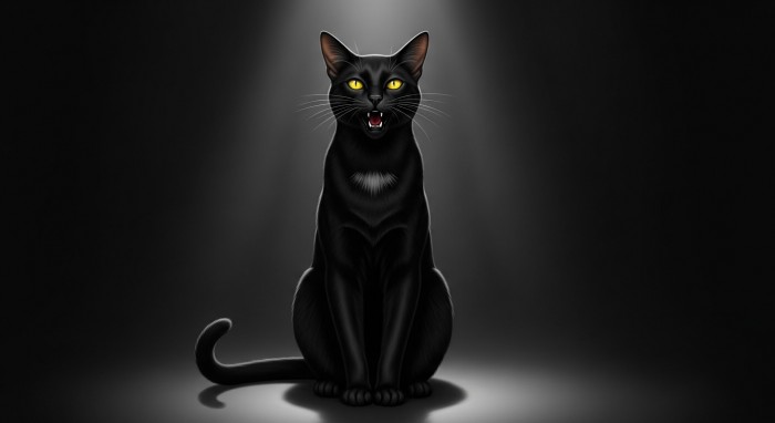 어두운 골목길에서 날카로운 눈빛으로 울고 있는 검은 고양이