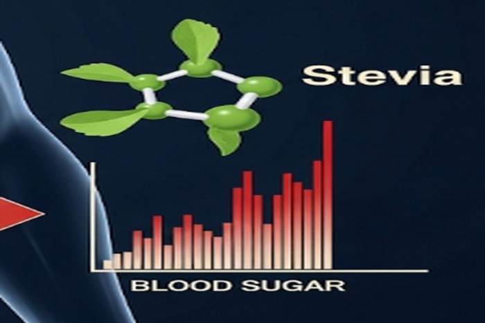 설탕과 스테비아가 인체 소화 시스템을 통과하며 혈당에 미치는 영향을 보여주는 인포그래픽&gt;&lt;br style=